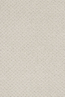 现代单色羊毛办公地毯 (11)