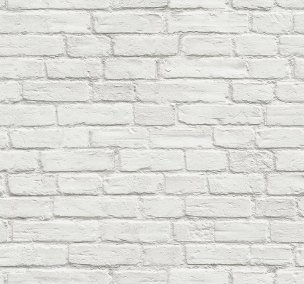 白色砖墙 (4)
