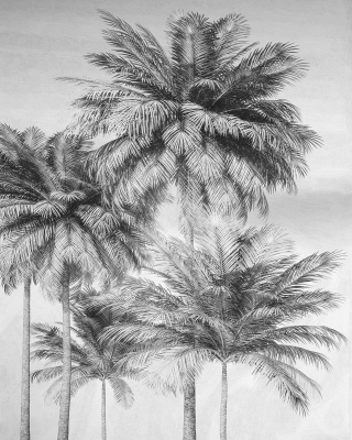 欧式美式椰子树壁纸背景画 (2)