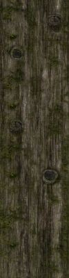 装饰原木木纹 树皮(1)