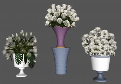 欧式鲜花，花瓶茶花，白玫瑰花