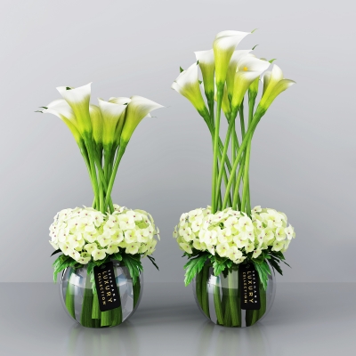 现代马蹄莲,花瓶,花卉,植物,花艺