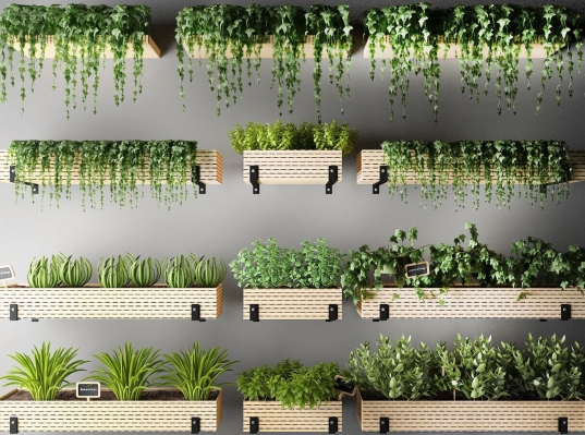 现代阳台植物_绿植_花草组合,壁挂吊挂绿植花槽,
