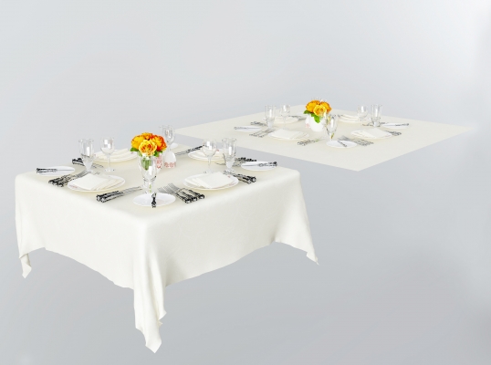 现代餐具组合,餐布桌布 (2)