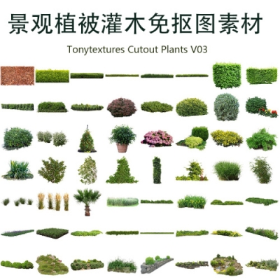 03-Tonytextures Cutout Plants V03 建筑表现景观植被灌木素材