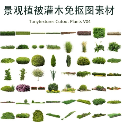 04-Tonytextures Cutout Plants V04 建筑表现景观植被灌木素材