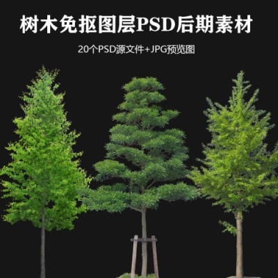 08-一组树木的免抠素材单独PSD文件