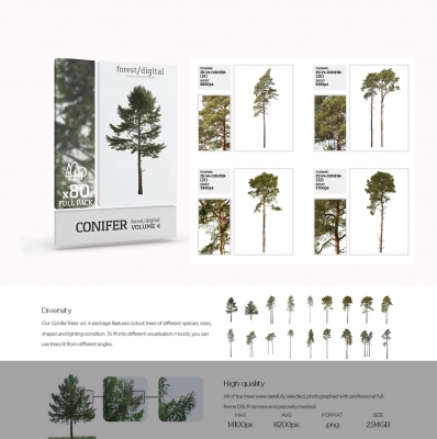 国外80棵超高清树木PNG素材Forest/Digital Vol.4 – Conifer Trees