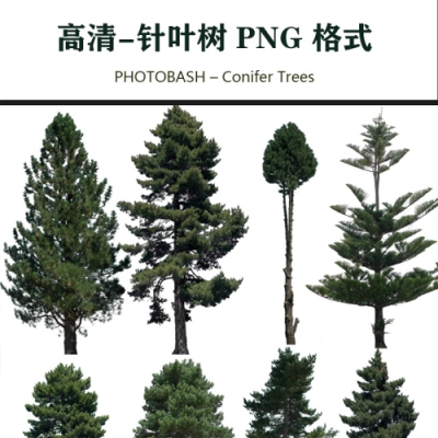 针叶树高清素材PHOTOBASH – Conifer Trees