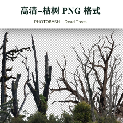 高清枯树免抠素材PHOTOBASH – Dead Trees