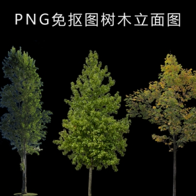 PNG免抠树木立面立剖效果图