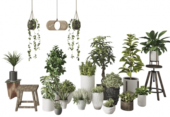 现代盆栽 盆景，吊装植物吊篮，木板凳