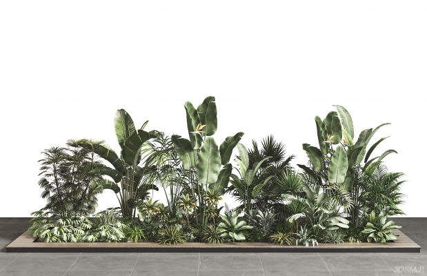 现代植物堆植物墙，绿植植物