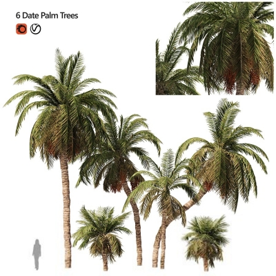 现代椰子树组合