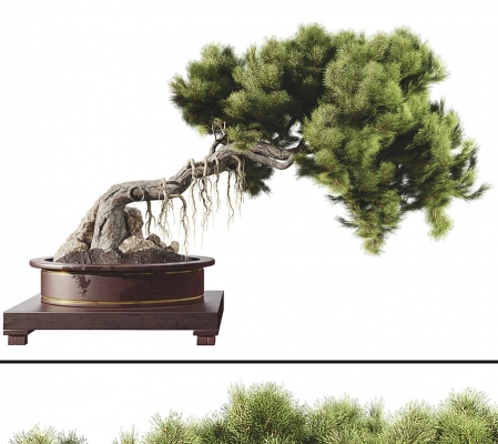 新中式盆景树