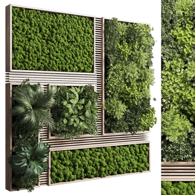 现代苔藓植物墙 