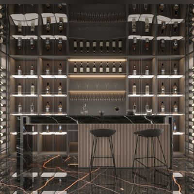 现代酒窖 品酒室