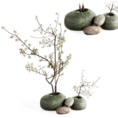 新中式植物盆栽景观植物su模型