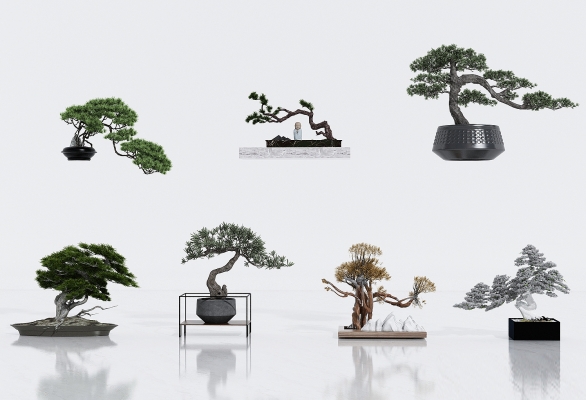新中式盆景盆栽3D模型