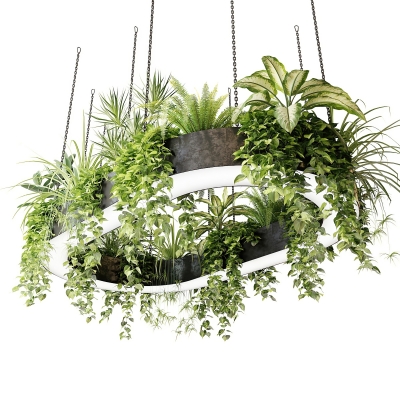 植物吊灯3d模型