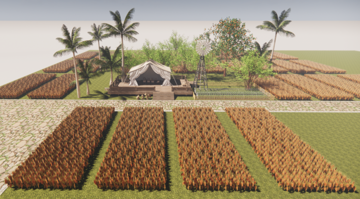 农场度假屋 稻田帐篷椰子树su模型