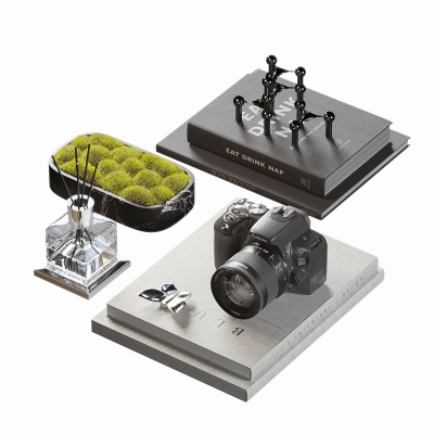桌面摆件 书籍相机 绿植香薰苔藓3d模型v