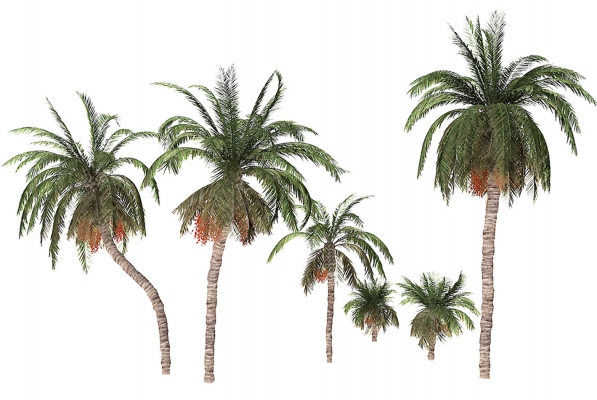 现代椰子树组合su模型