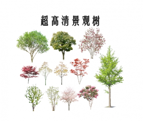 乔木，景观树SU模型