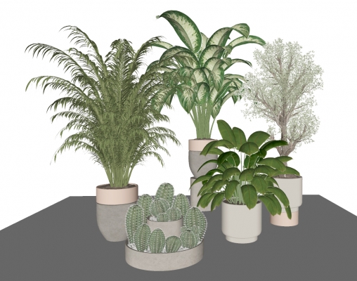 植物盆栽盆景su模型