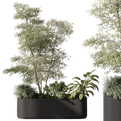 现代花箱绿植植物树，花池花槽su模型