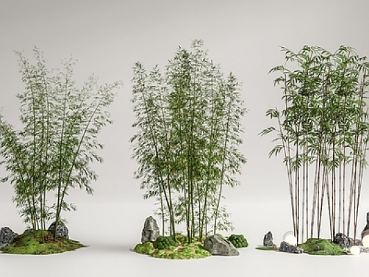 竹子，景观竹SU模型