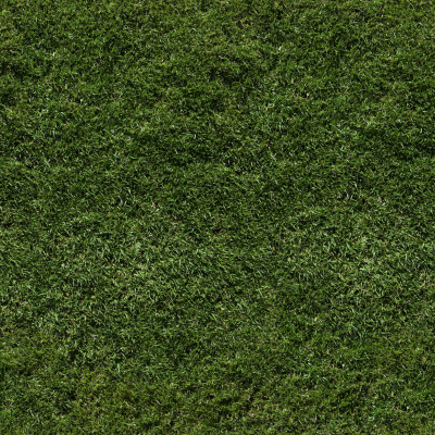01-无缝土壤草地草皮草坪草坡绿色草地地面贴图 (1)