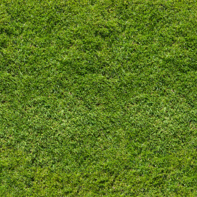 01-无缝土壤草地草皮草坪草坡绿色草地地面贴图 (2)