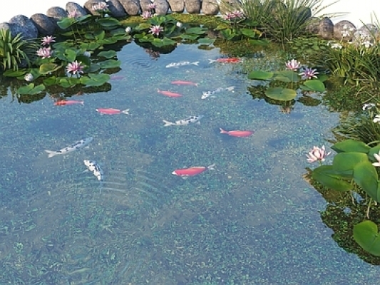  现代景观水池  