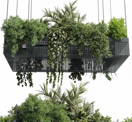  现代绿植吊篮 
