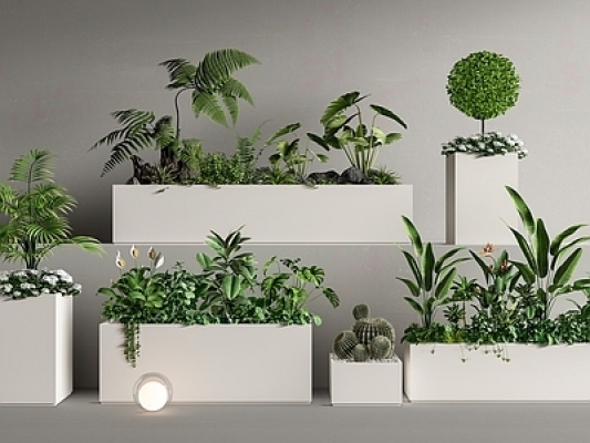 外摆绿植花箱，植物组合SU模型