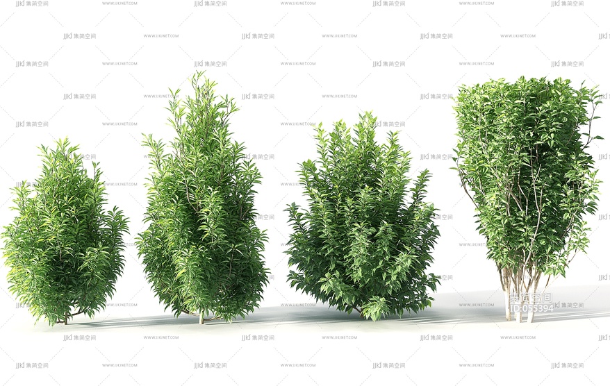 Z11-0722景观园林植物树矮树 3d模型下载 -【集简空间】「每日更新」