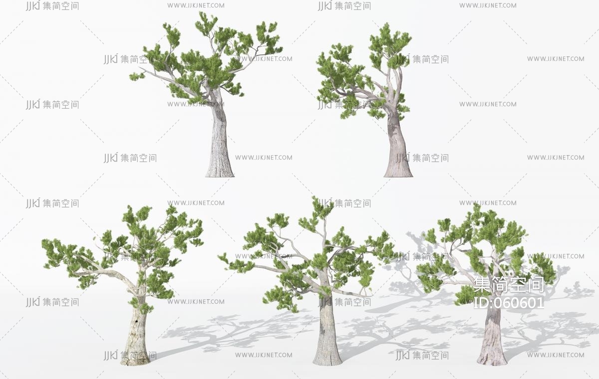 园林景观植物松树3d模型下载-【集简空间】「每日更新」