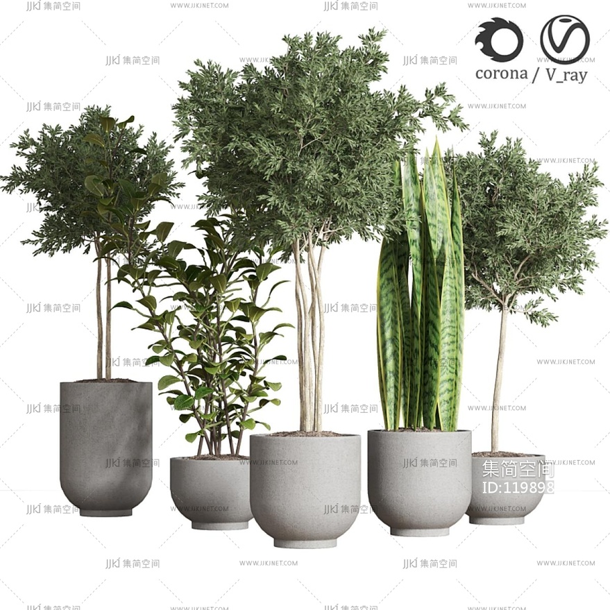 现代绿植盆栽，花盆绿植 3d模型下载 -【集简空间】「每日更新」