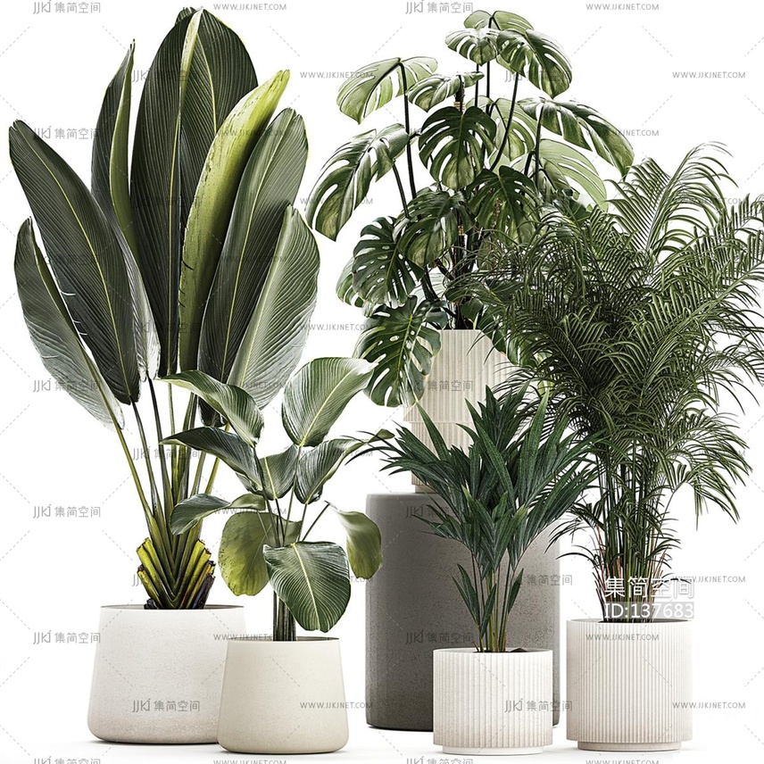 现代绿植盆栽,花盆散尾葵,芭蕉叶 3d模型下载 -【集简空间】「每日更新」
