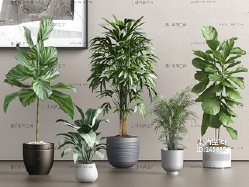 现在绿植盆栽，落地植物组合SU模型 su草图模型下载 -【集简空间】「每日更新」